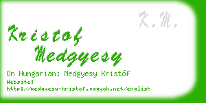 kristof medgyesy business card